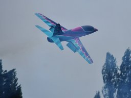 Flugtag 2025